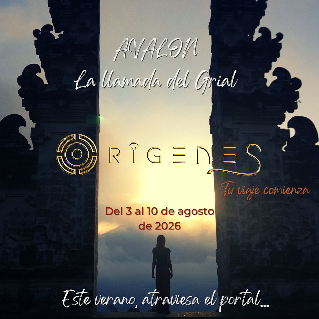 Imagen 5